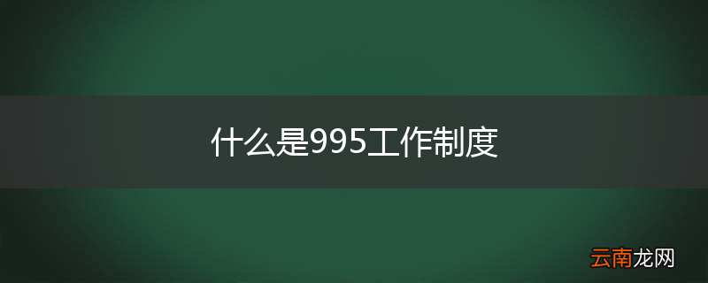 什么是995工作制度
