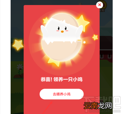 支付宝蚂蚁庄园在哪里？支付宝蚂蚁庄园进入教程