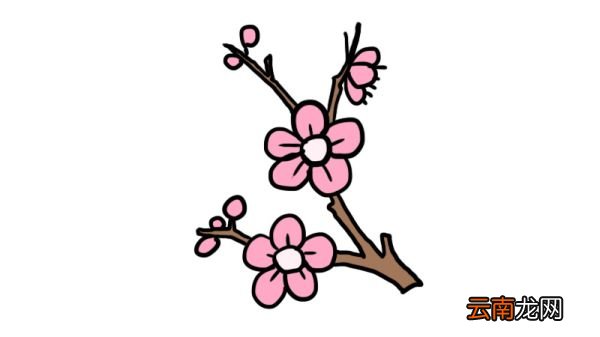 梅花树枝简笔画