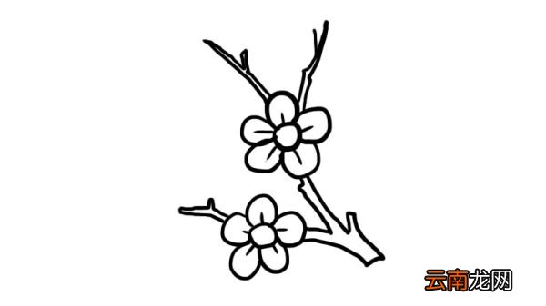 梅花树枝简笔画