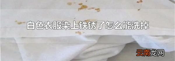 白色衣服染上铁锈了怎么能洗掉