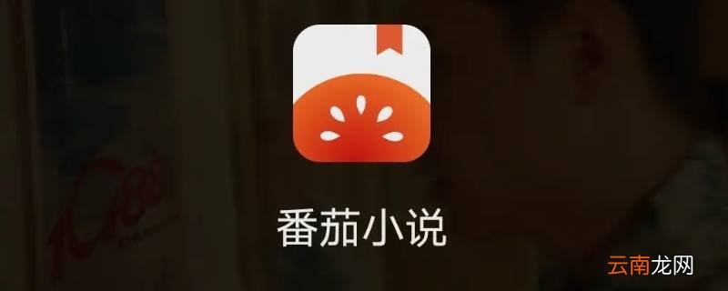 番茄小说一般在本地文件哪个目录