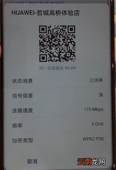 华为nova4中查看wifi密码的操作教程