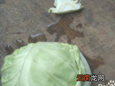 怎么切包菜