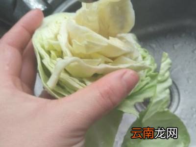 怎么切包菜