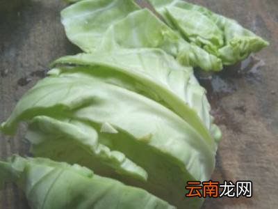怎么切包菜