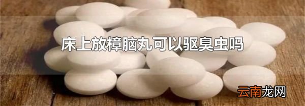 床上放樟脑丸可以驱臭虫吗