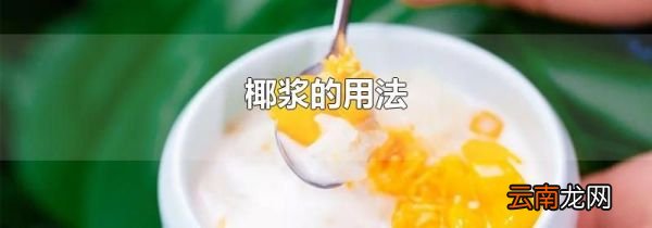 椰浆的用法
