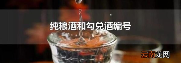 纯粮酒和勾兑酒编号