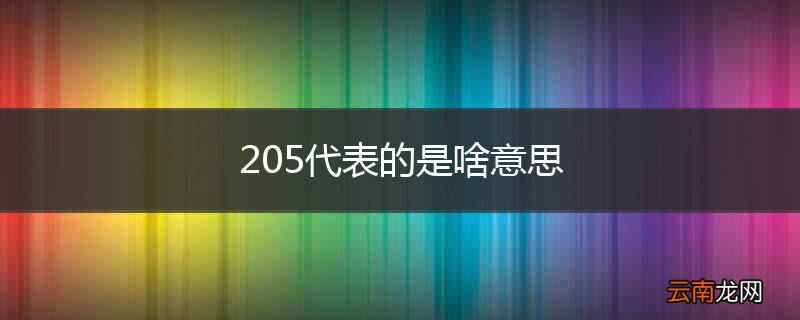 205代表的是啥意思