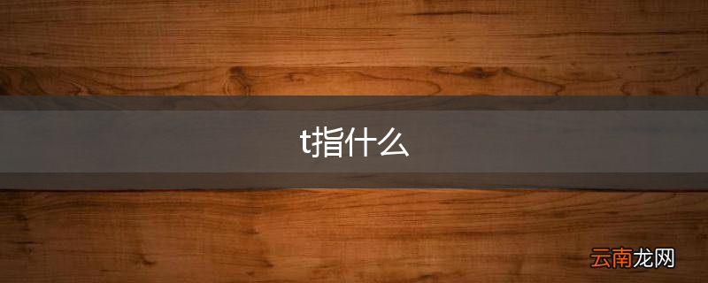 t指什么