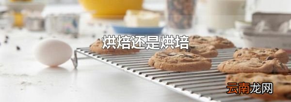 烘焙还是烘培