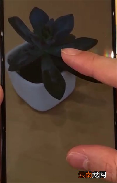 华为nova4中调整图片大小的简单操作方法