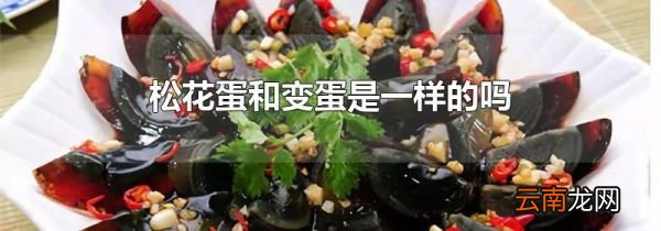 松花蛋和变蛋是一样的吗