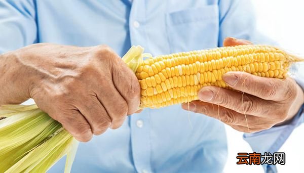 什么是碳水化合物 碳水化合物是糖类吗