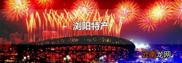 浏阳特产