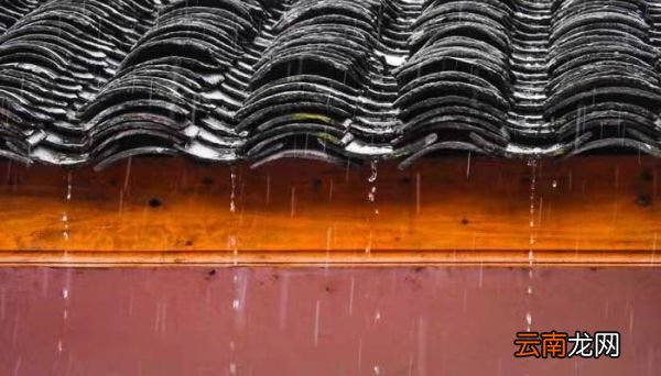 宽宥疲惫和风雨 做自渡之舟出自哪里 宽宥疲惫和风雨 做自渡之舟的意思