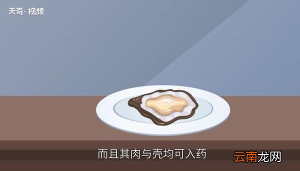 生蚝不撬开要蒸几分钟 生蚝不撬开要蒸多久