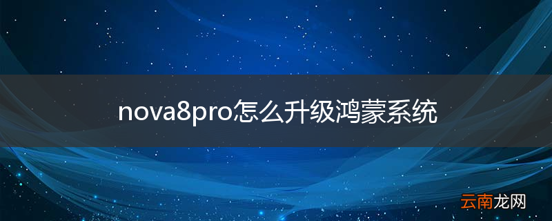 nova8pro怎么升级鸿蒙系统