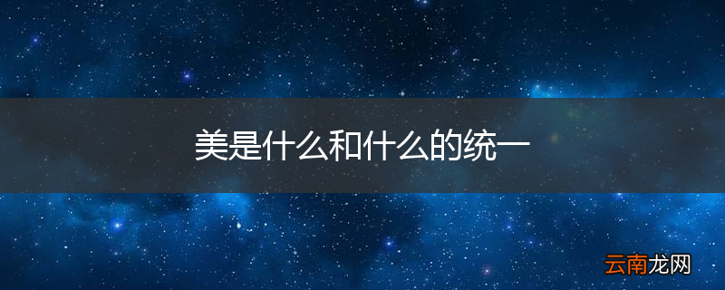 美是什么和什么的统一