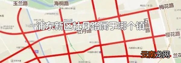 浦东新区牡丹路属于哪个镇
