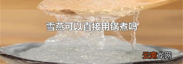 雪燕可以直接用锅煮吗
