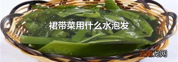 裙带菜用什么水泡发