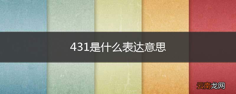 431是什么表达意思