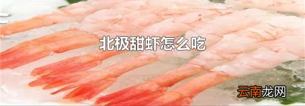 北极甜虾怎么吃
