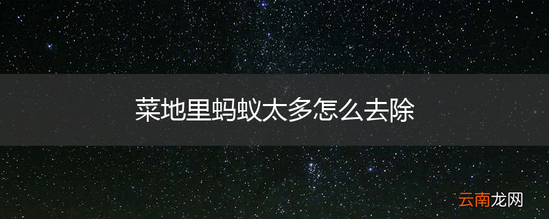 菜地里蚂蚁太多怎么去除