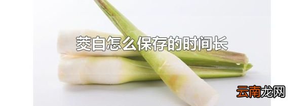茭白怎么保存的时间长