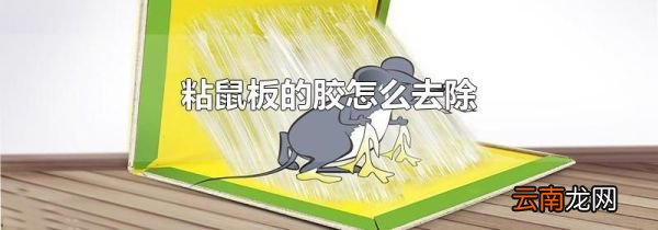 粘鼠板的胶怎么去除