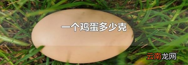 一个鸡蛋多少克