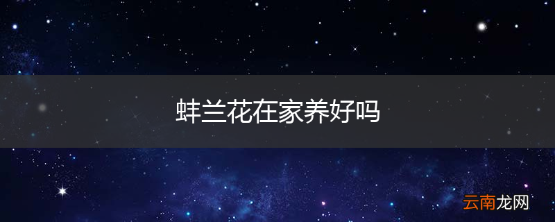 蚌兰花在家养好吗