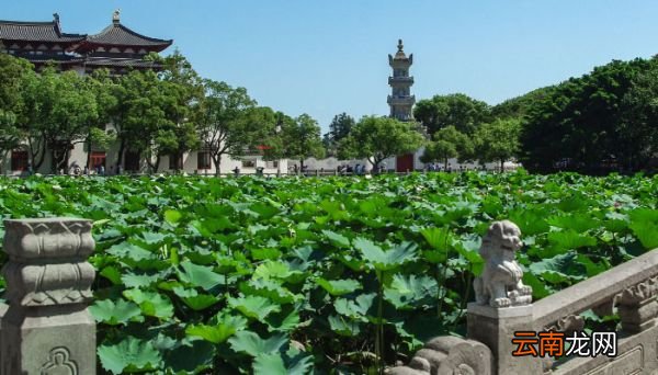 普陀山在哪里个城市 普陀山位于哪个城市