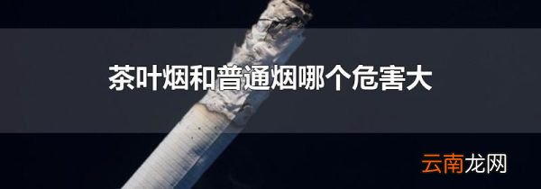 茶叶烟和普通烟哪个危害大