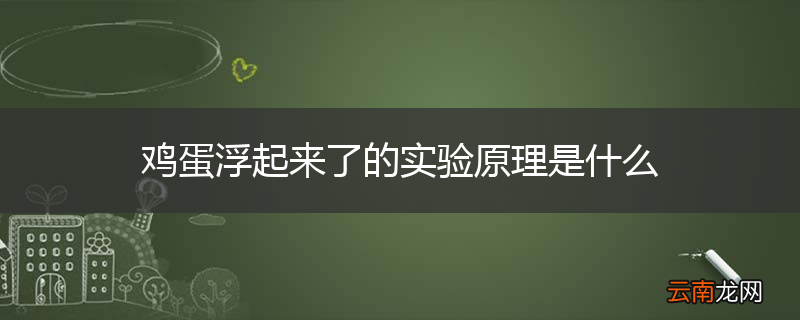 鸡蛋浮起来了的实验原理是什么