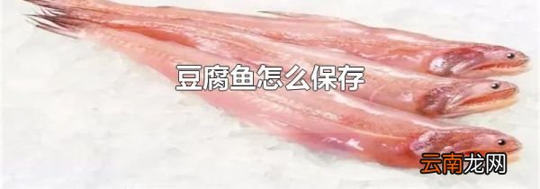 豆腐鱼怎么保存