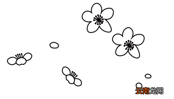 梅花配图简笔画 梅花配图简笔画怎么画