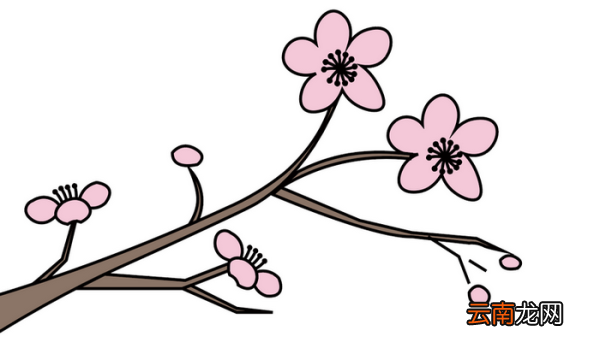 梅花配图简笔画 梅花配图简笔画怎么画