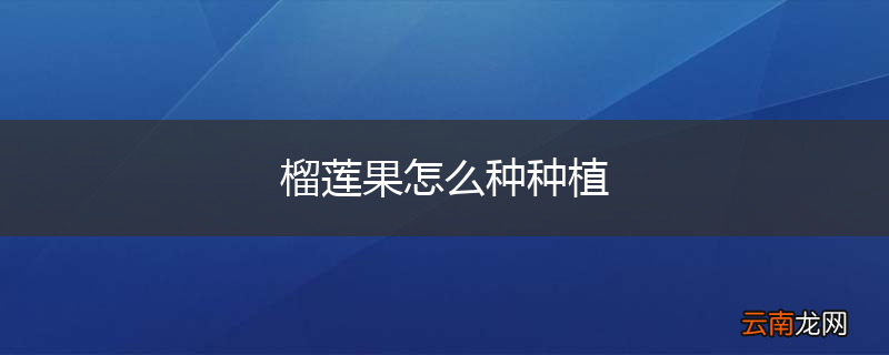 榴莲果怎么种种植