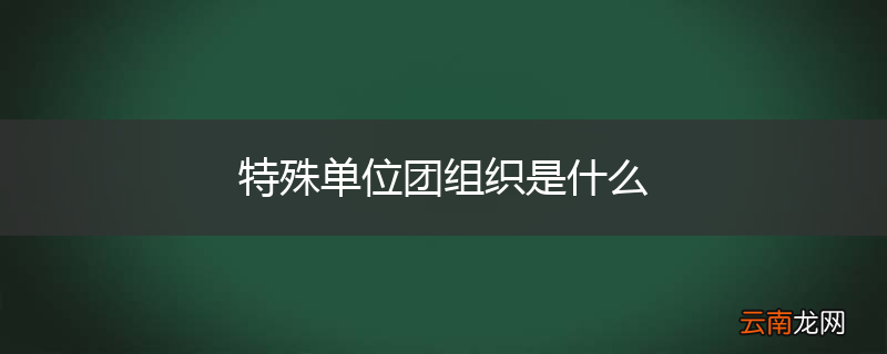 特殊单位团组织是什么