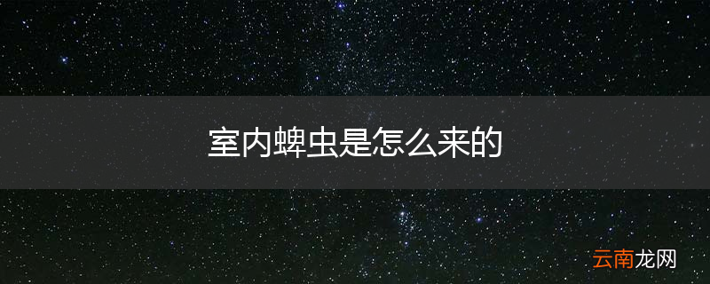 室内蜱虫是怎么来的