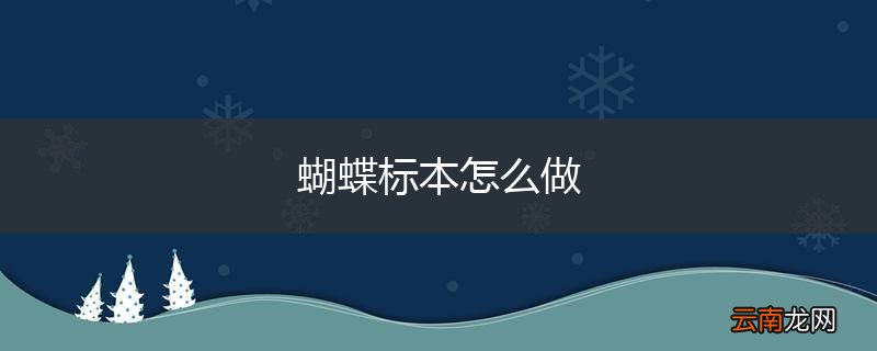 蝴蝶标本怎么做
