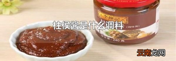 柱侯酱是什么调料