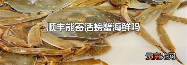 顺丰能寄活螃蟹海鲜吗