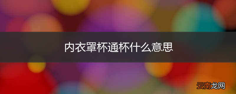 内衣罩杯通杯什么意思