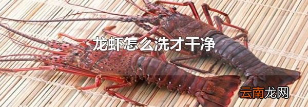 龙虾怎么洗才干净
