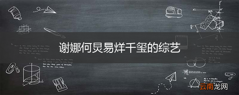 谢娜何炅易烊千玺的综艺