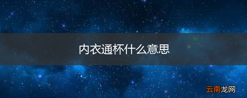 内衣通杯什么意思